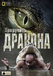 Перейти к просмотру Приручить дракона (Touching the Dragon) 2013